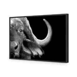African Cape Buffalo -WALL ART DESGIN SALE african cape buffalo acrylic glass no border black frame 45x30cm 231469