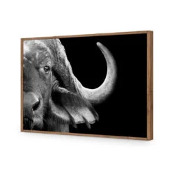 African Cape Buffalo -WALL ART DESGIN SALE african cape buffalo acrylic glass no border natural frame 45x30cm 973068