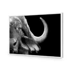 African Cape Buffalo -WALL ART DESGIN SALE african cape buffalo acrylic glass no border white frame 45x30cm 820174