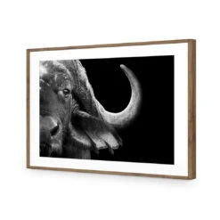 African Cape Buffalo -WALL ART DESGIN SALE african cape buffalo acrylic glass with border natural frame 45x30cm 736875