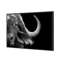 African Cape Buffalo -WALL ART DESGIN SALE african cape buffalo canvas black floating frame 45x30cm 510394