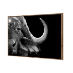 African Cape Buffalo -WALL ART DESGIN SALE african cape buffalo canvas natural floating frame 45x30cm 959009