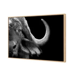 African Cape Buffalo -WALL ART DESGIN SALE african cape buffalo canvas oak floating frame 45x30cm 151456