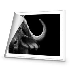 African Cape Buffalo -WALL ART DESGIN SALE african cape buffalo canvas rolled canvas 45x30cm 733050