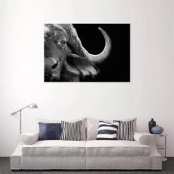 African Cape Buffalo -WALL ART DESGIN SALE african cape buffalo canvas stretched canvas 45x30cm 838808
