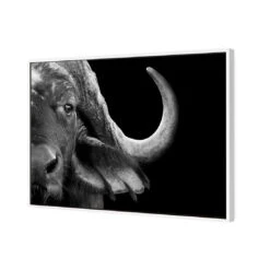 African Cape Buffalo -WALL ART DESGIN SALE african cape buffalo canvas white floating frame 45x30cm 372620