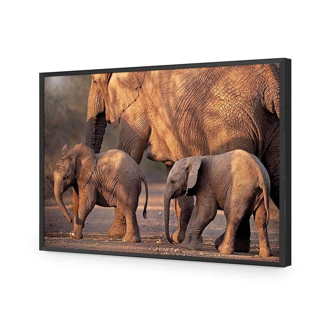African Elephants Crossing Road African Elephants Crossing Road -WALL ART DESGIN SALE african elephants crossing road acrylic glass no border black frame 45x30cm 884743
