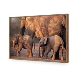 African Elephants Crossing Road 18 African Elephants Crossing Road -WALL ART DESGIN SALE african elephants crossing road acrylic glass no border natural frame 45x30cm 367160