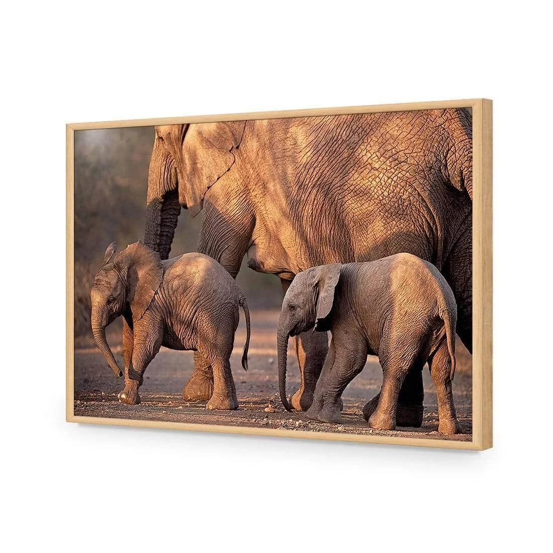 African Elephants Crossing Road African Elephants Crossing Road -WALL ART DESGIN SALE african elephants crossing road acrylic glass no border oak frame 45x30cm 584204