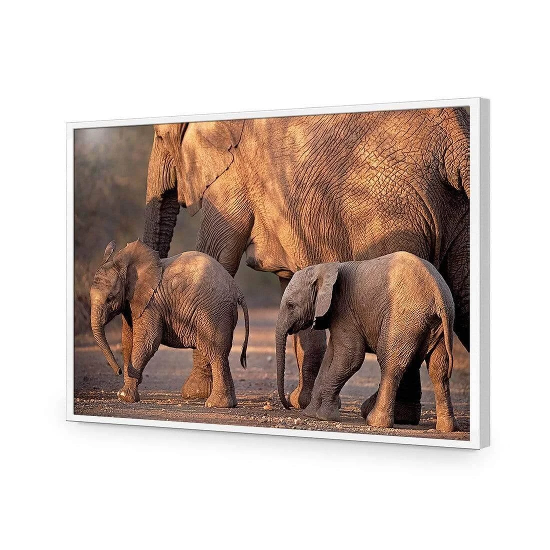 African Elephants Crossing Road African Elephants Crossing Road -WALL ART DESGIN SALE african elephants crossing road acrylic glass no border white frame 45x30cm 966200
