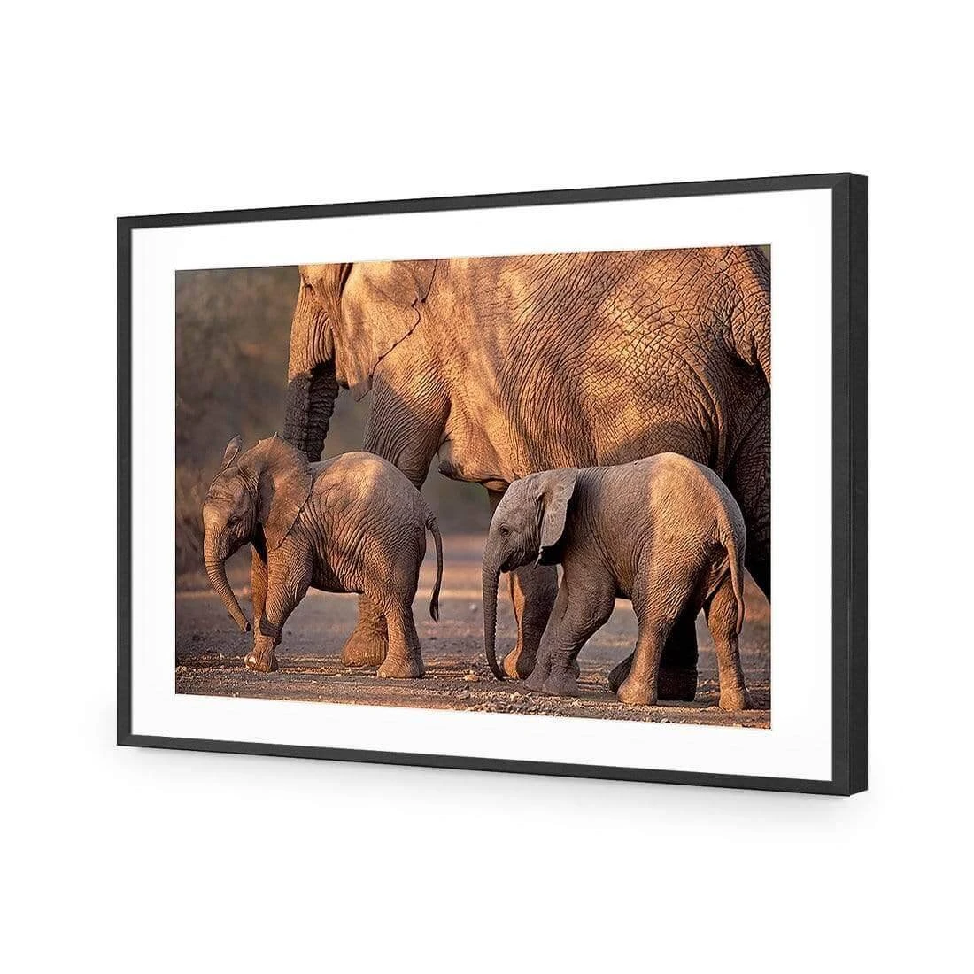 African Elephants Crossing Road African Elephants Crossing Road -WALL ART DESGIN SALE african elephants crossing road acrylic glass with border black frame 45x30cm 855599