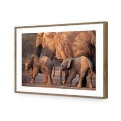African Elephants Crossing Road 13 African Elephants Crossing Road -WALL ART DESGIN SALE african elephants crossing road acrylic glass with border natural frame 45x30cm 547804