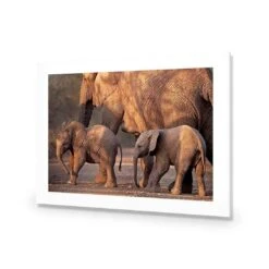 African Elephants Crossing Road 9 African Elephants Crossing Road -WALL ART DESGIN SALE african elephants crossing road acrylic glass with border no frame 45x30cm 946153