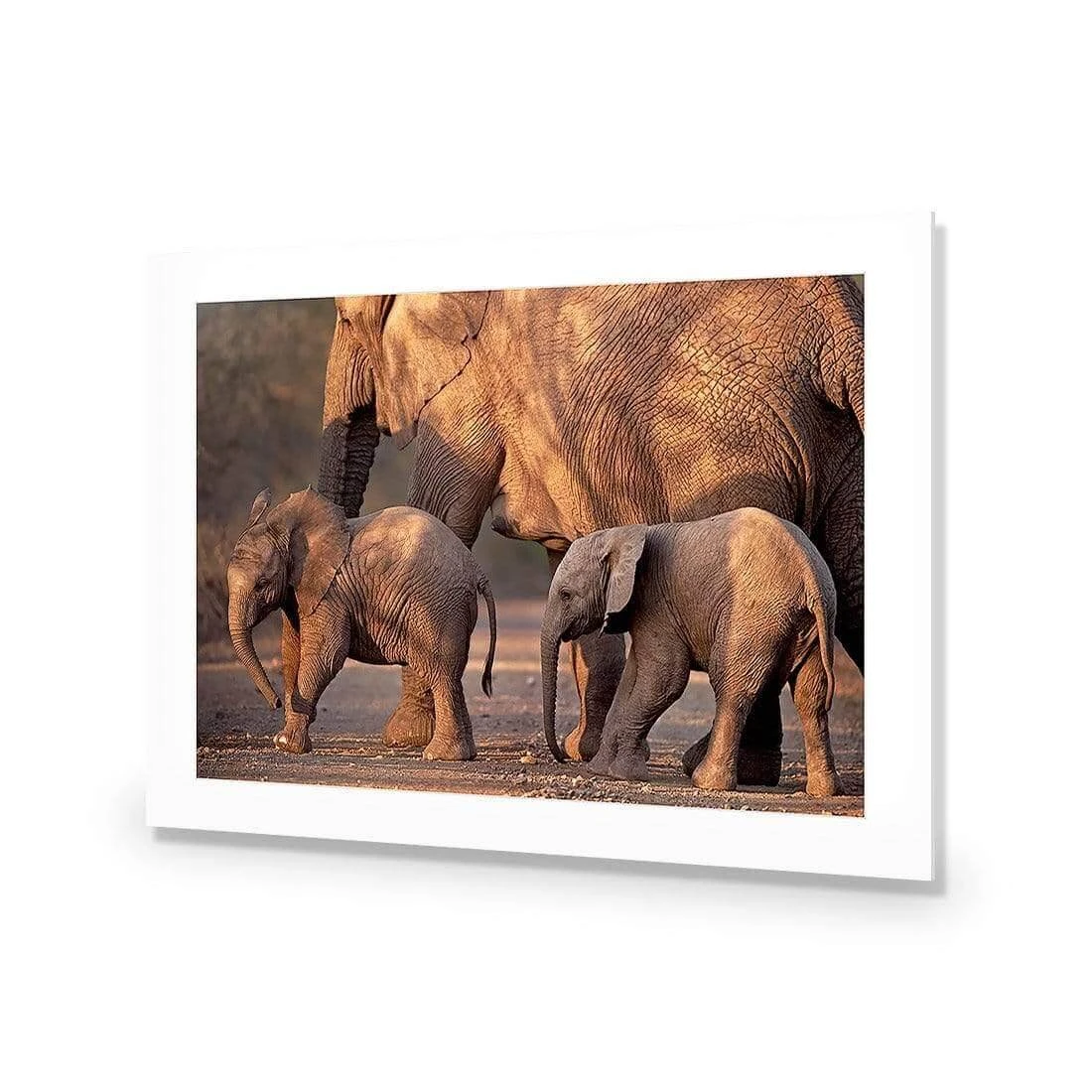 African Elephants Crossing Road African Elephants Crossing Road -WALL ART DESGIN SALE african elephants crossing road acrylic glass with border no frame 45x30cm 946153