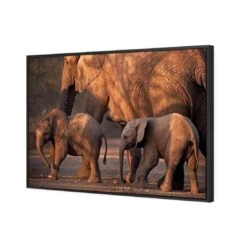 African Elephants Crossing Road 4 African Elephants Crossing Road -WALL ART DESGIN SALE african elephants crossing road canvas black floating frame 45x30cm 788159