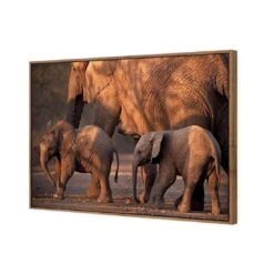 African Elephants Crossing Road 7 African Elephants Crossing Road -WALL ART DESGIN SALE african elephants crossing road canvas natural floating frame 45x30cm 718763