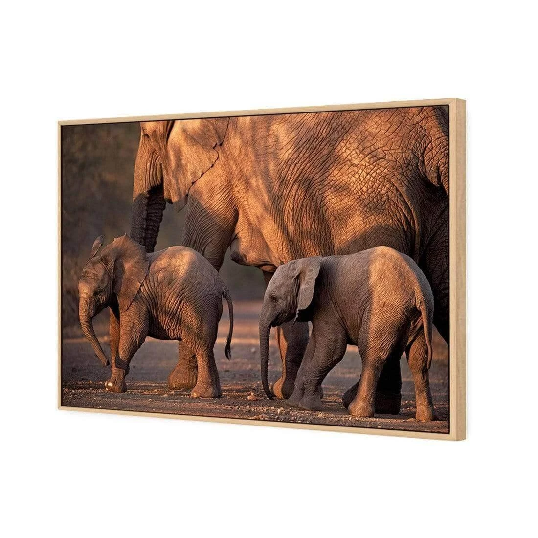 African Elephants Crossing Road African Elephants Crossing Road -WALL ART DESGIN SALE african elephants crossing road canvas oak floating frame 45x30cm 495421