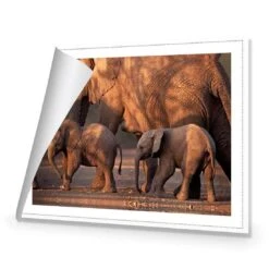 African Elephants Crossing Road 8 African Elephants Crossing Road -WALL ART DESGIN SALE african elephants crossing road canvas rolled canvas 45x30cm 667085