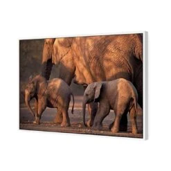 African Elephants Crossing Road 5 African Elephants Crossing Road -WALL ART DESGIN SALE african elephants crossing road canvas white floating frame 45x30cm 205556