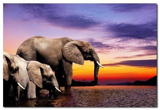 African Savannah Elephants (Rectangle) African Savannah Elephants (Rectangle) -WALL ART DESGIN SALE african savannah elephants rectangle canvas stretched canvas 45x30cm 308528