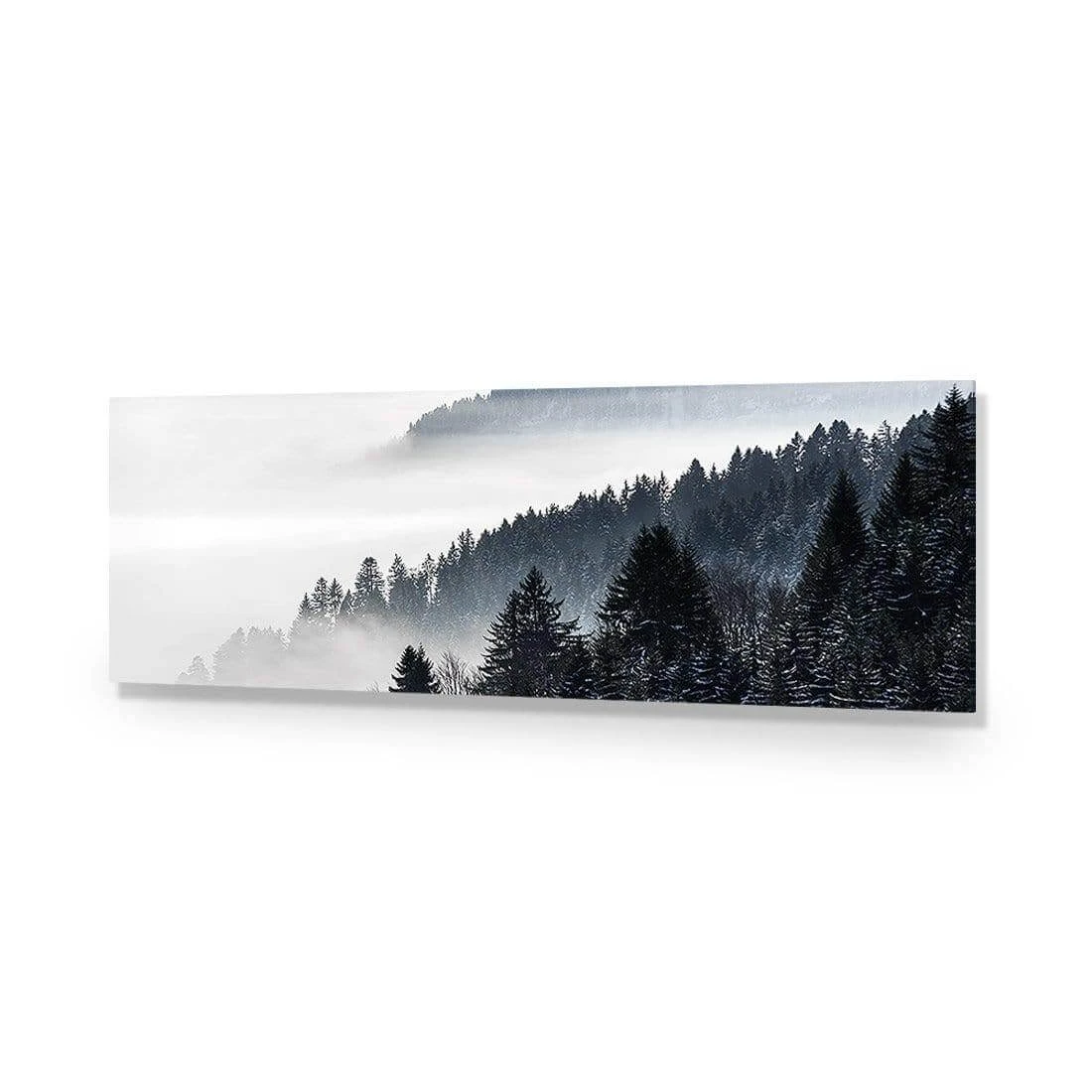 Alpine Conifer Mist (Long) Alpine Conifer Mist (Long) -WALL ART DESGIN SALE alpine conifer mist long acrylic glass no border no frame 90x30cm 556290