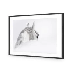 Andalusian Horse In The Mist Acrylic Print Art 4 Andalusian Horse In The Mist Acrylic Print Art -WALL ART DESGIN SALE andalusian horse in the mist acrylic glass art with border black frame 45x30cm 979778