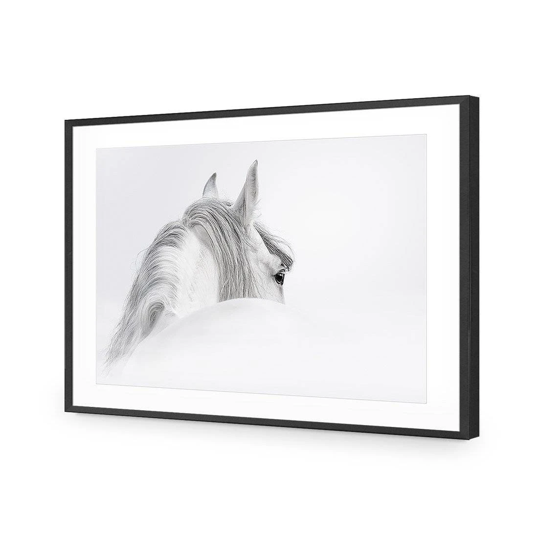 Andalusian Horse In The Mist Acrylic Print Art Andalusian Horse In The Mist Acrylic Print Art -WALL ART DESGIN SALE andalusian horse in the mist acrylic glass art with border black frame 45x30cm 979778