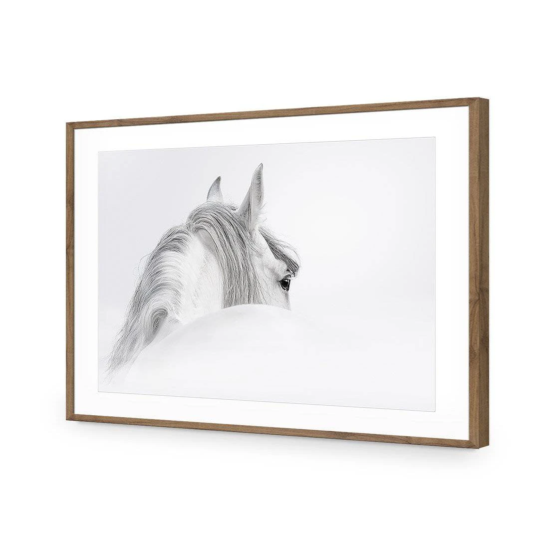 Andalusian Horse In The Mist Acrylic Print Art Andalusian Horse In The Mist Acrylic Print Art -WALL ART DESGIN SALE andalusian horse in the mist acrylic glass art with border natural frame 45x30cm 629649