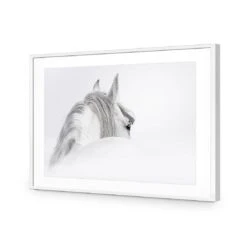 Andalusian Horse In The Mist Acrylic Print Art 5 Andalusian Horse In The Mist Acrylic Print Art -WALL ART DESGIN SALE andalusian horse in the mist acrylic glass art with border white frame 45x30cm 826112