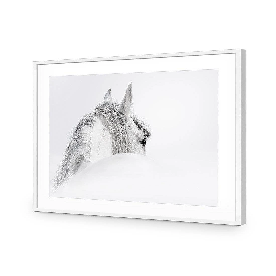 Andalusian Horse In The Mist Acrylic Print Art Andalusian Horse In The Mist Acrylic Print Art -WALL ART DESGIN SALE andalusian horse in the mist acrylic glass art with border white frame 45x30cm 826112