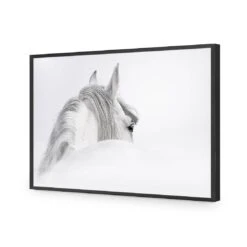 Andalusian Horse In The Mist Acrylic Print Art 9 Andalusian Horse In The Mist Acrylic Print Art -WALL ART DESGIN SALE andalusian horse in the mist acrylic glass art without border black frame 45x30cm 612297
