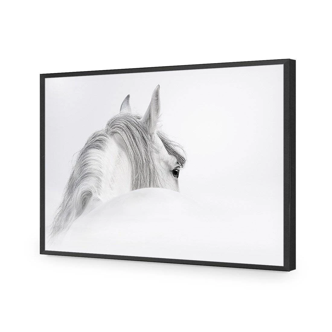 Andalusian Horse In The Mist Acrylic Print Art Andalusian Horse In The Mist Acrylic Print Art -WALL ART DESGIN SALE andalusian horse in the mist acrylic glass art without border black frame 45x30cm 612297
