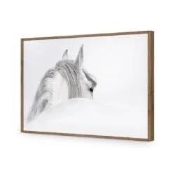 Andalusian Horse In The Mist Acrylic Print Art 11 Andalusian Horse In The Mist Acrylic Print Art -WALL ART DESGIN SALE andalusian horse in the mist acrylic glass art without border natural frame 45x30cm 112923