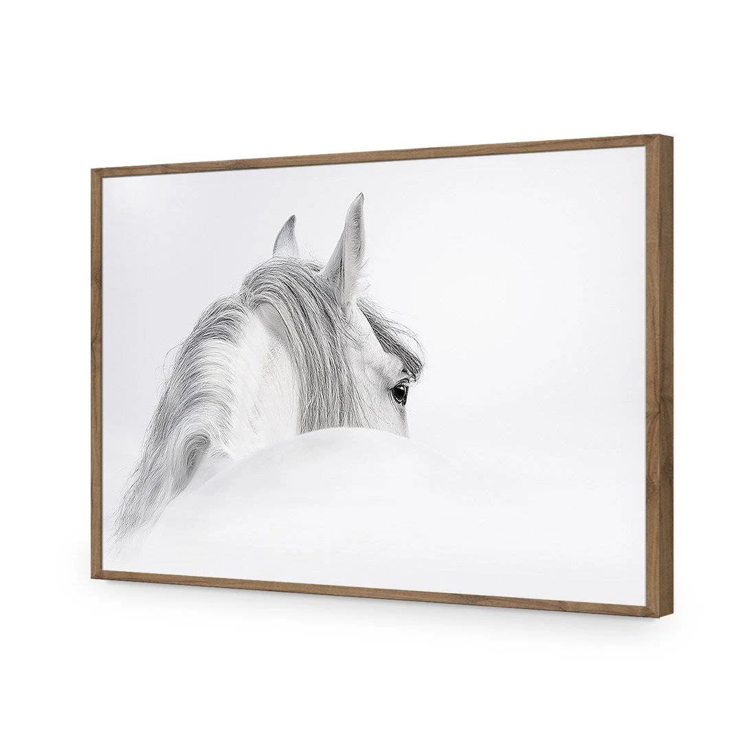 Andalusian Horse In The Mist Acrylic Print Art Andalusian Horse In The Mist Acrylic Print Art -WALL ART DESGIN SALE andalusian horse in the mist acrylic glass art without border natural frame 45x30cm 112923