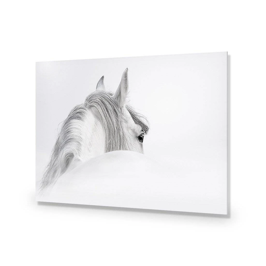 Andalusian Horse In The Mist Acrylic Print Art Andalusian Horse In The Mist Acrylic Print Art -WALL ART DESGIN SALE andalusian horse in the mist acrylic glass art without border no frame 45x30cm 790591