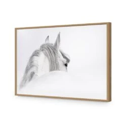 Andalusian Horse In The Mist Acrylic Print Art 12 Andalusian Horse In The Mist Acrylic Print Art -WALL ART DESGIN SALE andalusian horse in the mist acrylic glass art without border oak frame 45x30cm 612850