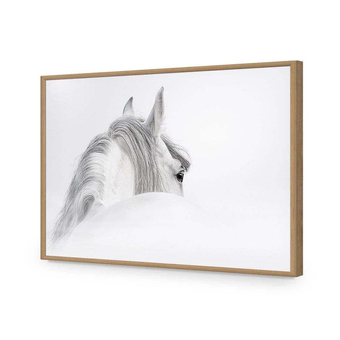 Andalusian Horse In The Mist Acrylic Print Art Andalusian Horse In The Mist Acrylic Print Art -WALL ART DESGIN SALE andalusian horse in the mist acrylic glass art without border oak frame 45x30cm 612850