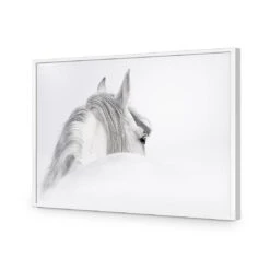 Andalusian Horse In The Mist Acrylic Print Art 10 Andalusian Horse In The Mist Acrylic Print Art -WALL ART DESGIN SALE andalusian horse in the mist acrylic glass art without border white frame 45x30cm 549250