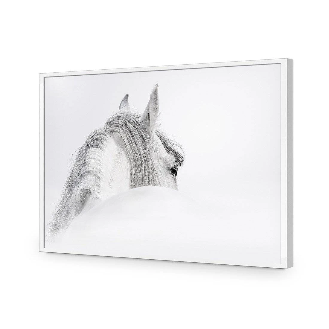 Andalusian Horse In The Mist Acrylic Print Art Andalusian Horse In The Mist Acrylic Print Art -WALL ART DESGIN SALE andalusian horse in the mist acrylic glass art without border white frame 45x30cm 549250