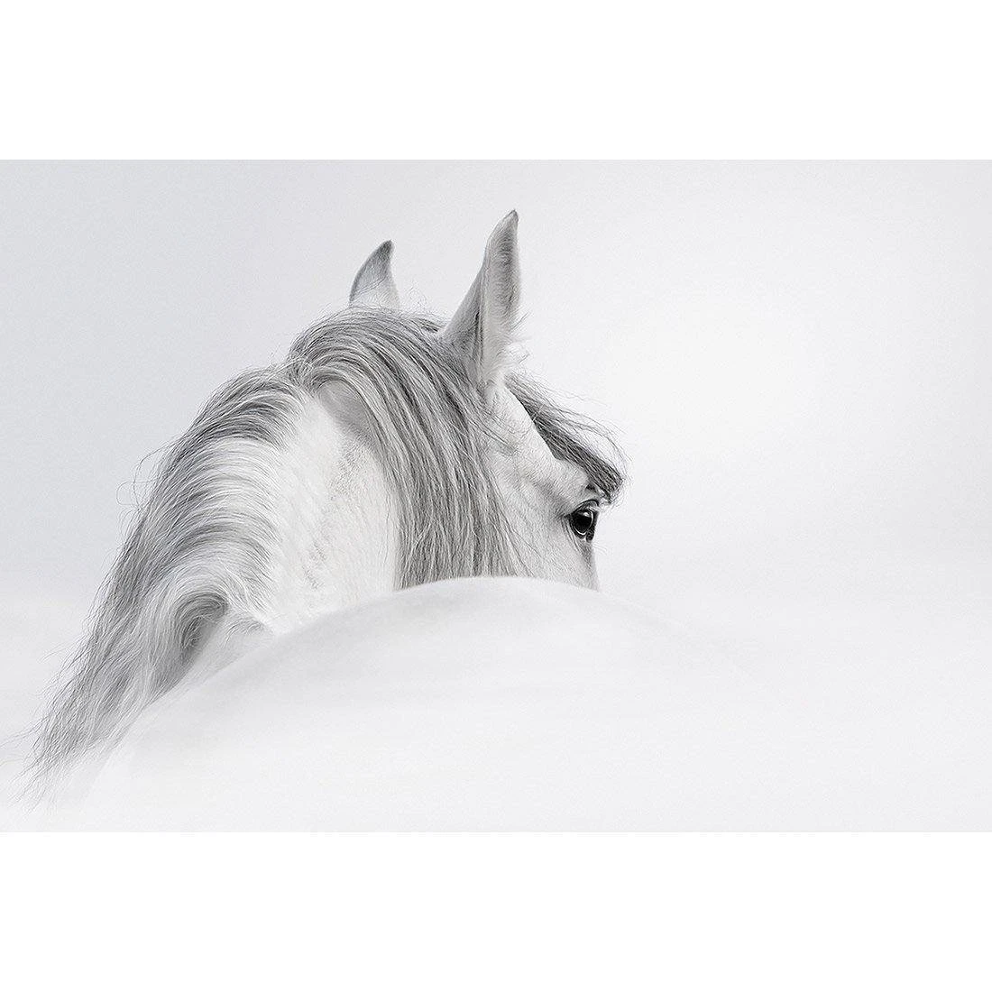 Andalusian Horse In The Mist Canvas Art Andalusian Horse In The Mist Canvas Art -WALL ART DESGIN SALE andalusian horse in the mist canvas art 45x30cm no frame 645232