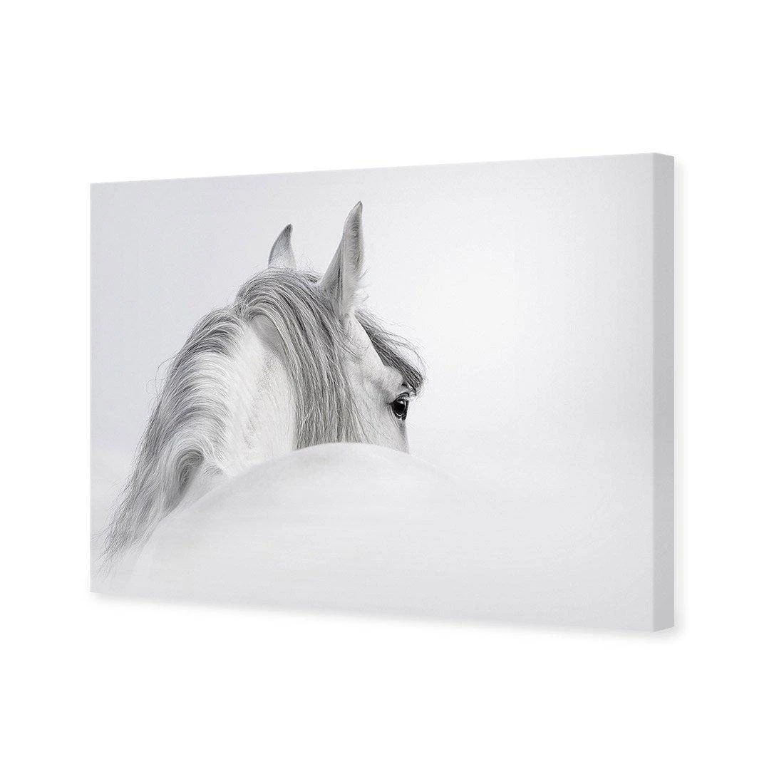 Andalusian Horse In The Mist Canvas Art Andalusian Horse In The Mist Canvas Art -WALL ART DESGIN SALE andalusian horse in the mist canvas art 45x30cm no frame 815294