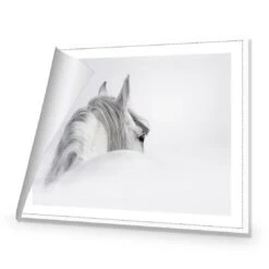 Andalusian Horse In The Mist Canvas Art 8 Andalusian Horse In The Mist Canvas Art -WALL ART DESGIN SALE andalusian horse in the mist canvas art 45x30cm rolled canvas 963809
