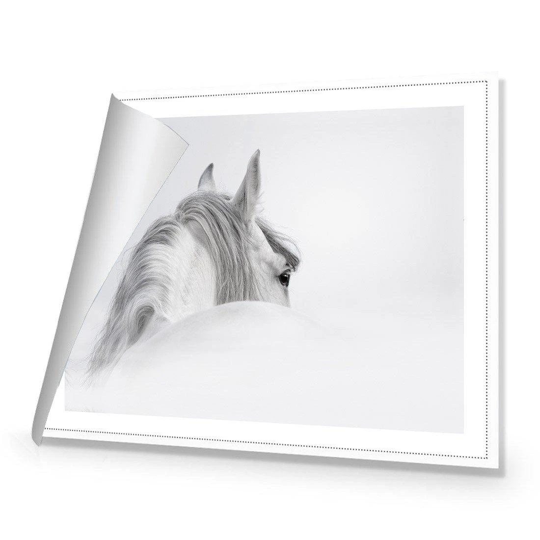 Andalusian Horse In The Mist Canvas Art Andalusian Horse In The Mist Canvas Art -WALL ART DESGIN SALE andalusian horse in the mist canvas art 45x30cm rolled canvas 963809