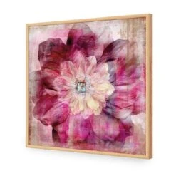 Antique Dream Bloom -WALL ART DESGIN SALE antique dream bloom acrylic glass no border oak frame 37x37cm 482728