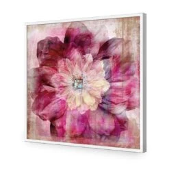 Antique Dream Bloom -WALL ART DESGIN SALE antique dream bloom acrylic glass no border white frame 37x37cm 350540
