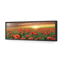 Anzac Poppy Field (long) 15 Anzac Poppy Field (long) -WALL ART DESGIN SALE anzac poppy field long acrylic glass no border black frame 90x30cm 461735