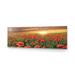Anzac Poppy Field (long) 14 Anzac Poppy Field (long) -WALL ART DESGIN SALE anzac poppy field long acrylic glass no border no frame 90x30cm 858468