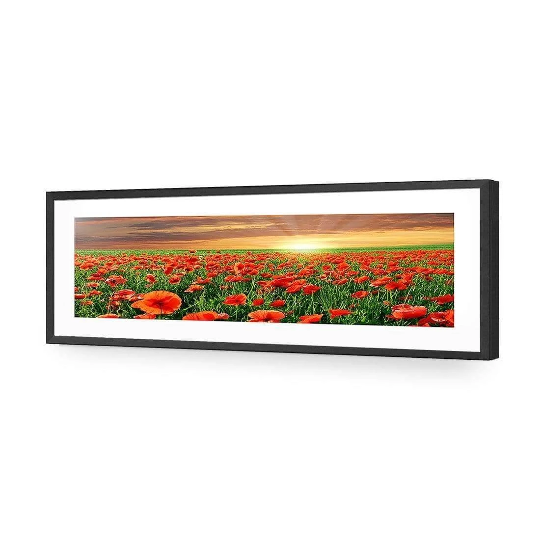 Anzac Poppy Field (long) Anzac Poppy Field (long) -WALL ART DESGIN SALE anzac poppy field long acrylic glass with border black frame 90x30cm 992083