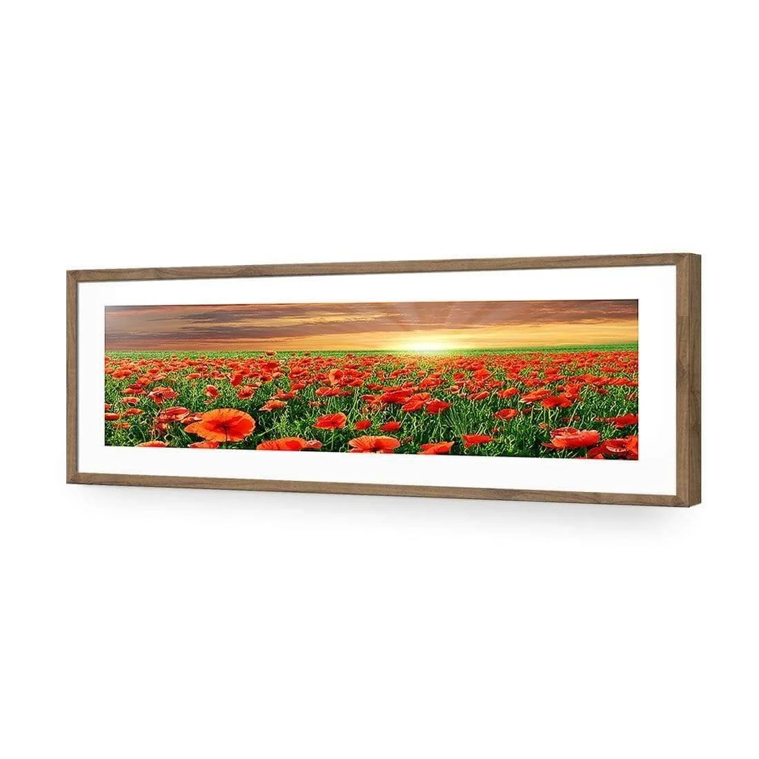 Anzac Poppy Field (long) Anzac Poppy Field (long) -WALL ART DESGIN SALE anzac poppy field long acrylic glass with border natural frame 90x30cm 408989