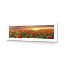 Anzac Poppy Field (long) 9 Anzac Poppy Field (long) -WALL ART DESGIN SALE anzac poppy field long acrylic glass with border no frame 90x30cm 627538